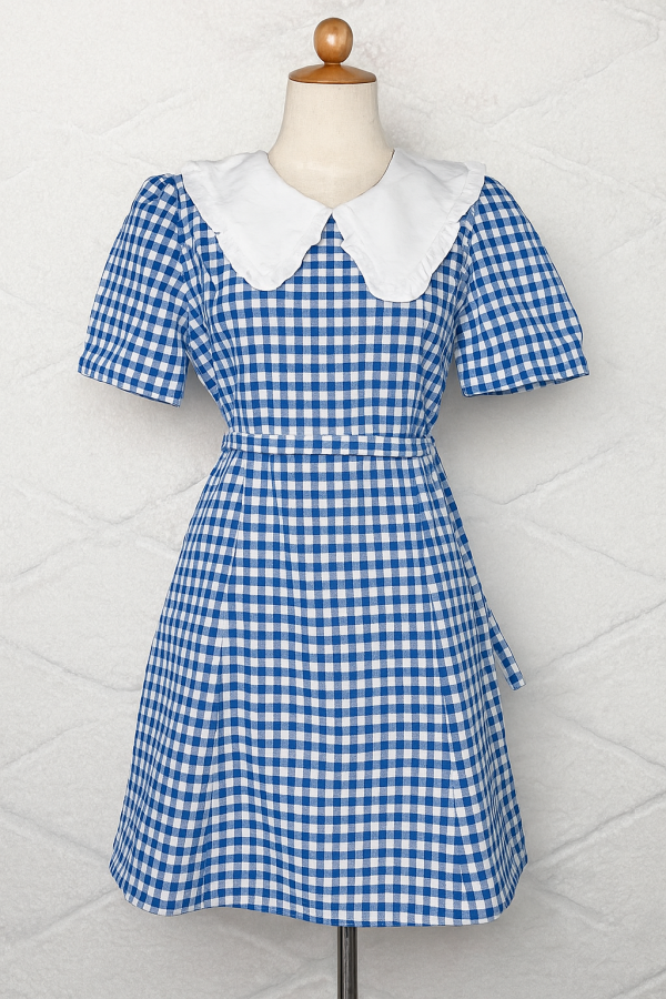 Robe à carreaux bleue